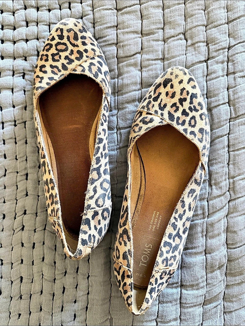 TOMS Alpargata Ballet Flat Leopard Print Flats